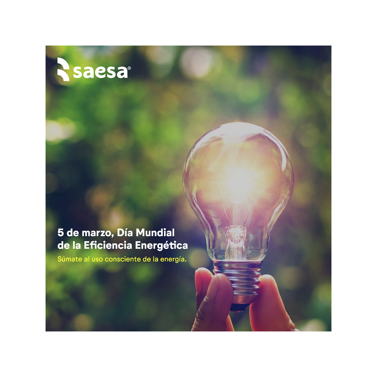 Redes sociales — imagen 6